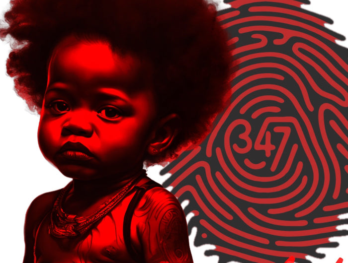 <h2>Day One Collection</h2>